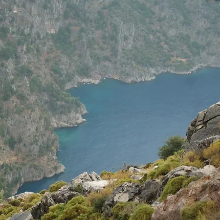 홀리데이파크 Onur