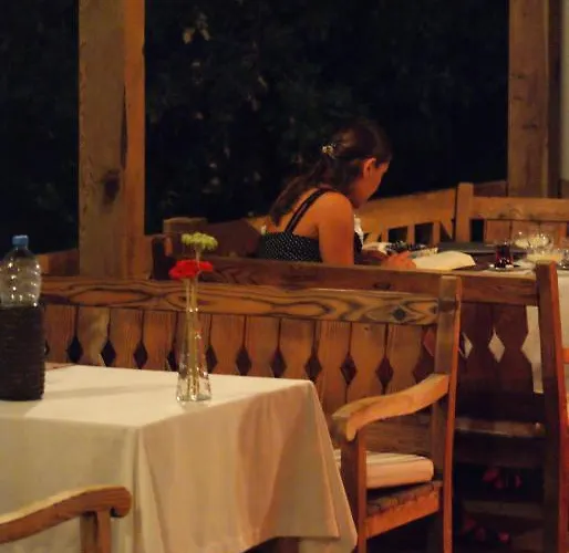 Onur 2* פאראליה