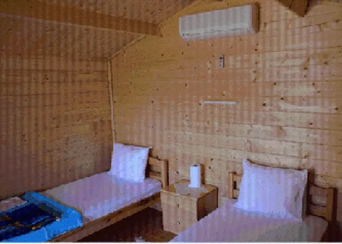 Onur 2* פאראליה